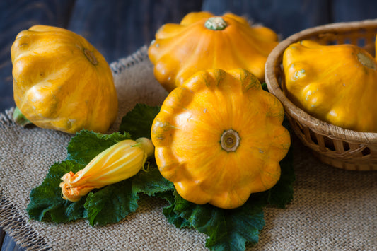 Sautéed Scallopini Squash with Parmesan