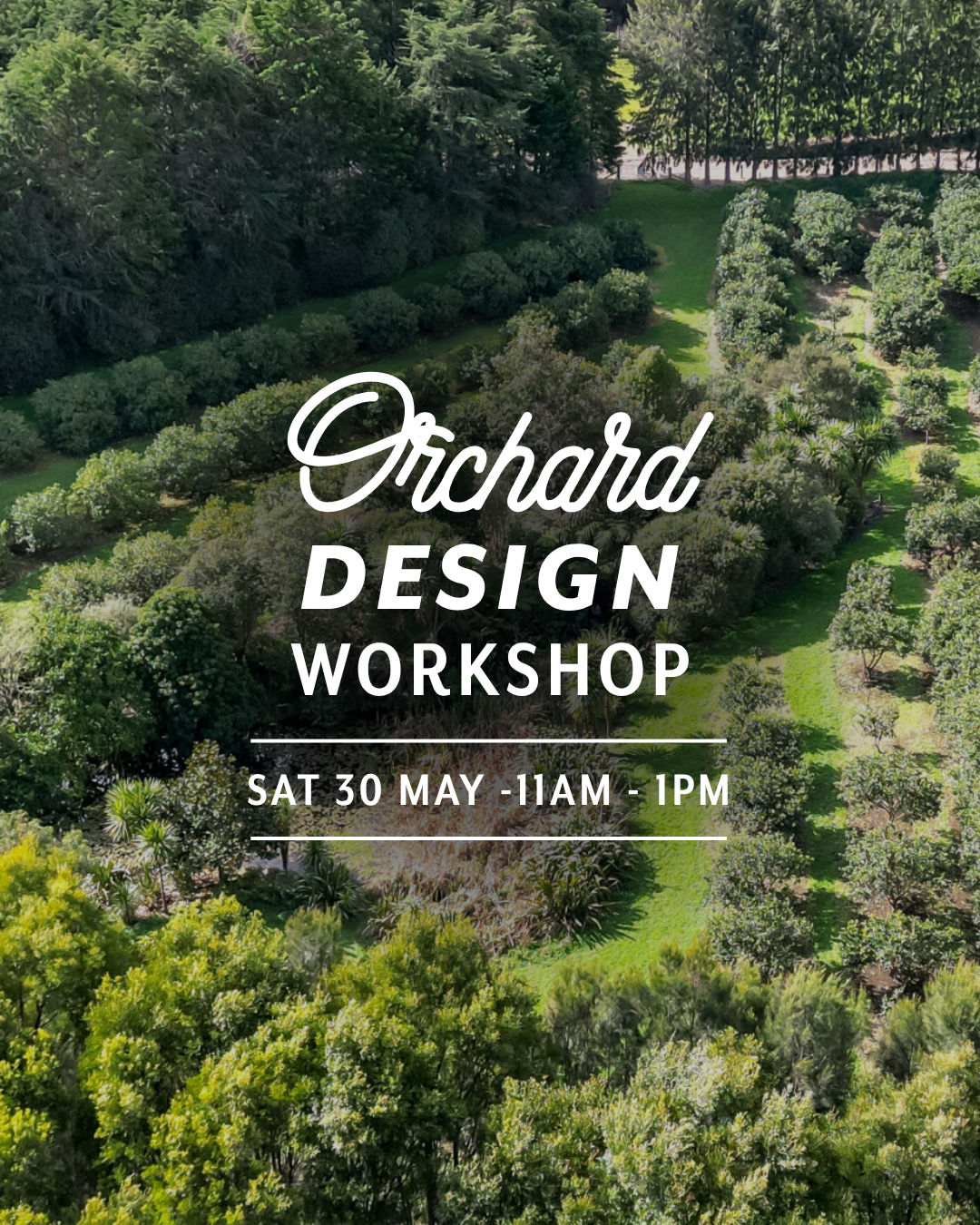 Orchard Design — Sat 30th May | 11:00AM - 1:00PM
