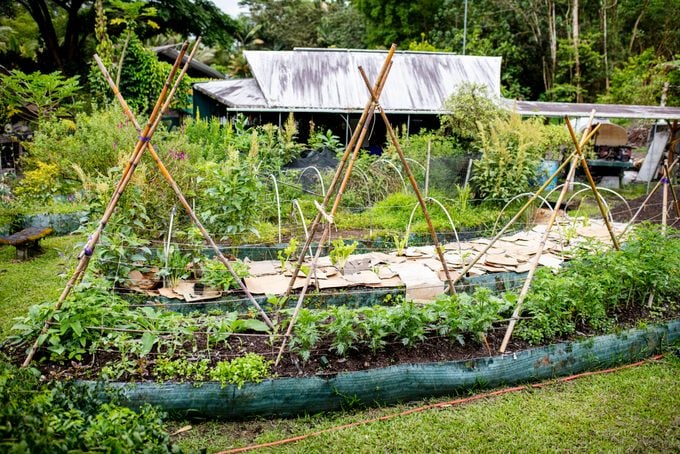 Permaculture for People and Place - S.E.E.D (Soil. Environment. Elements. Discovery)