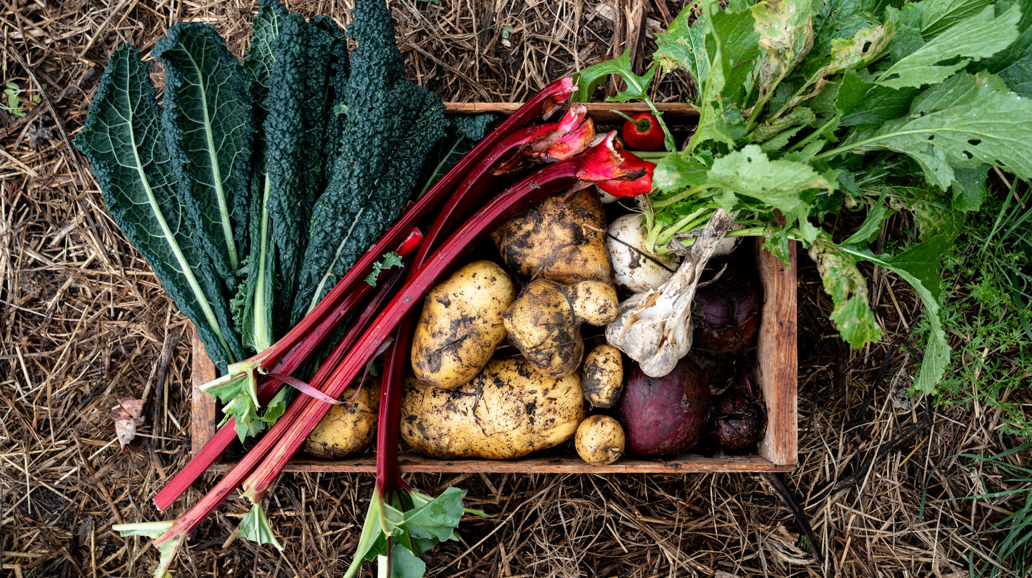 Pick Your Own Veges — Sat 2nd May | 9:00AM - 11:00AM