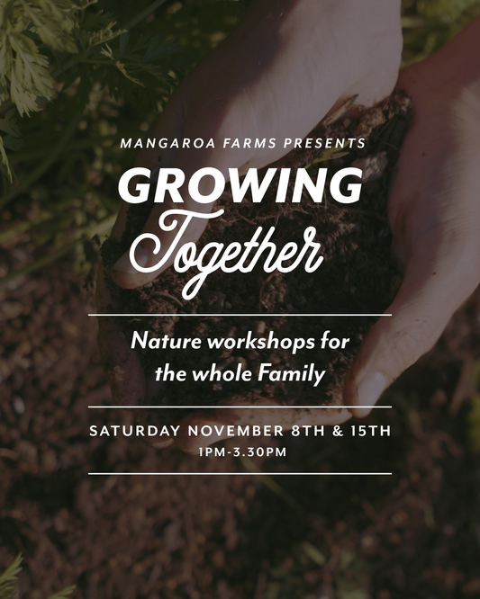 Growing Together - Home Composting and Soil Life - Nature Workshops for the Whole Family