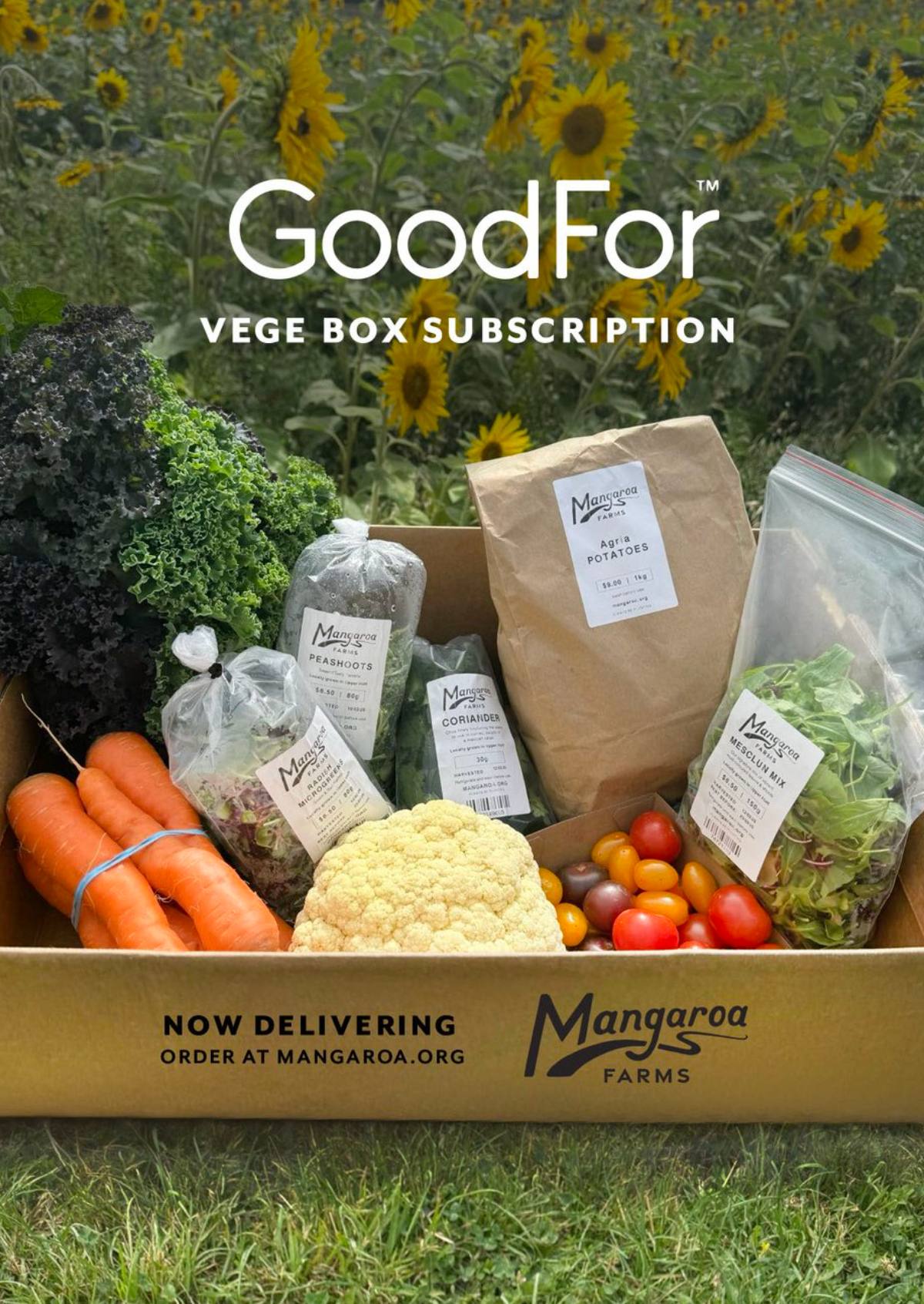 GoodFor x Mangaroa Vege Box - Mangaroa Farms
