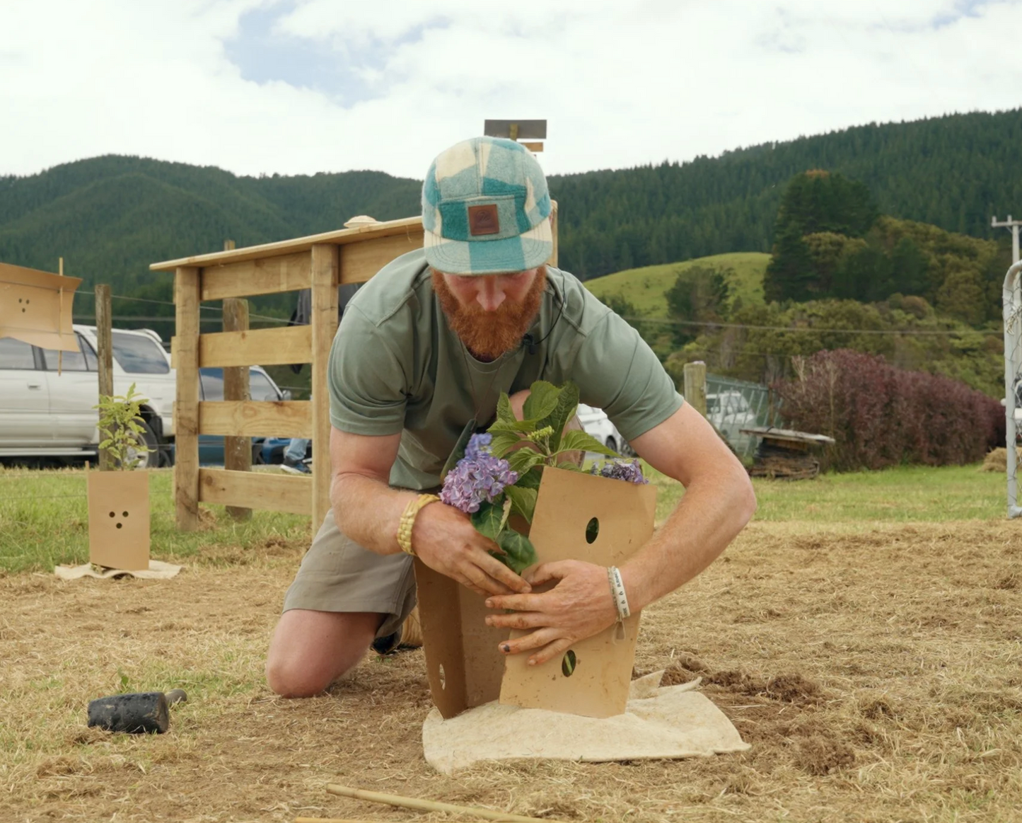 Tree Planting with Forest & Bird β Sat 6th September | 10AM - 3PM
