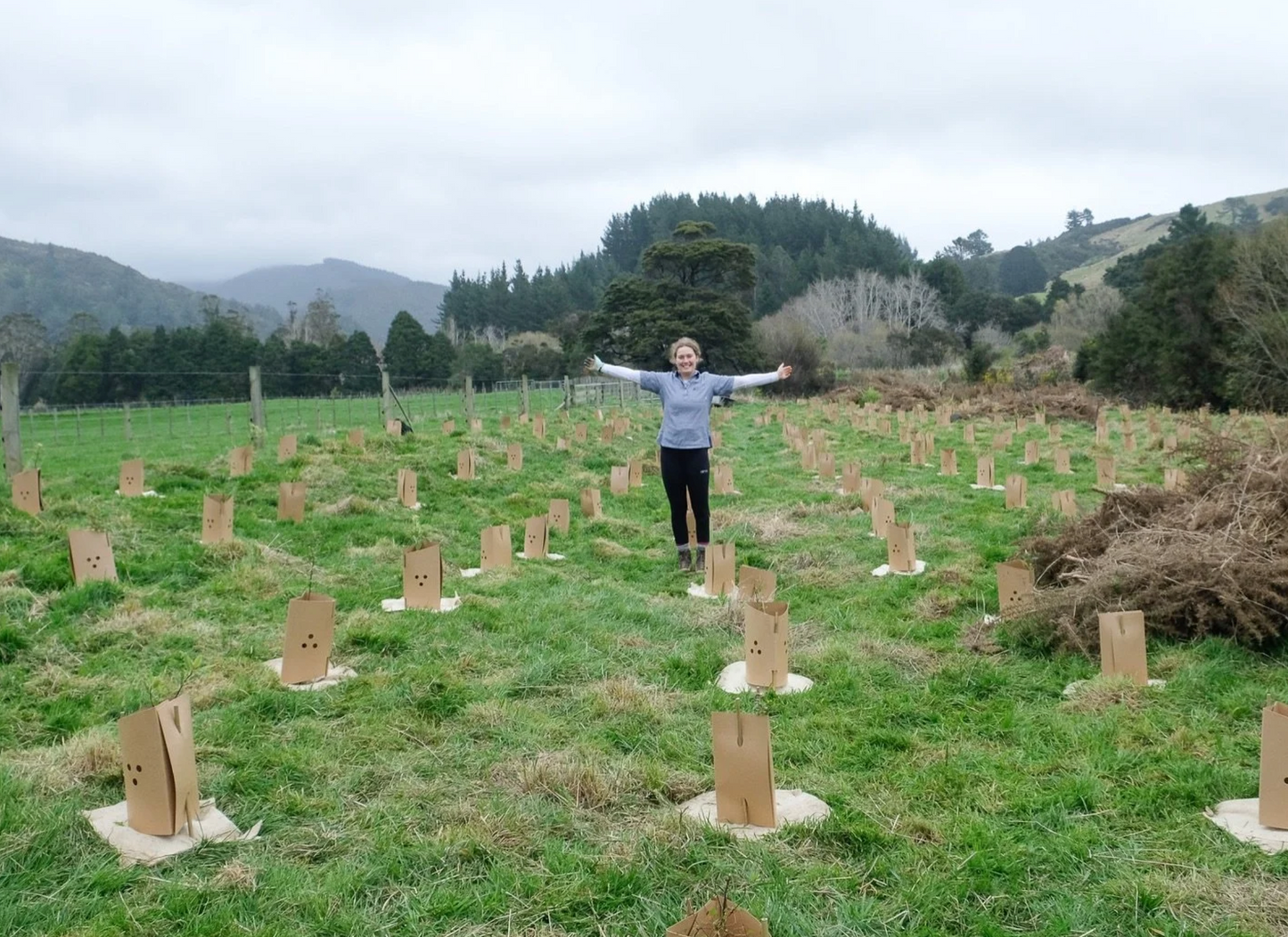 Tree Planting with Forest & Bird β Sat 6th September | 10AM - 3PM