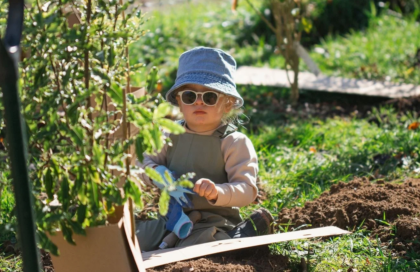 Tree Planting with Forest & Bird β Sat 6th September | 10AM - 3PM