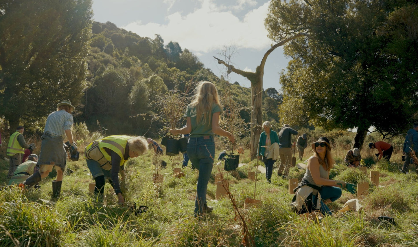 Tree Planting with Forest & Bird β Sat 6th September | 10AM - 3PM