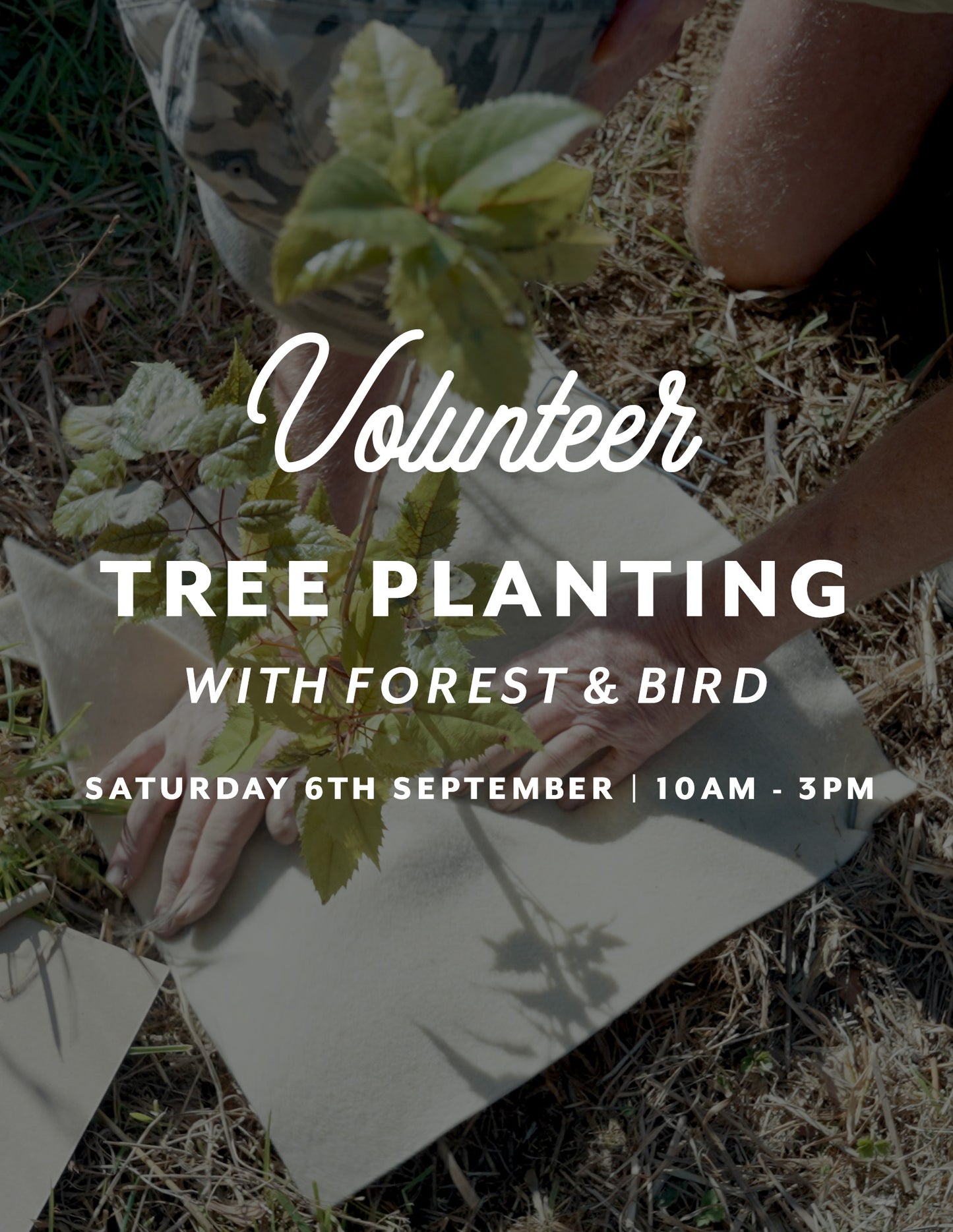Tree Planting with Forest & Bird β Sat 6th September | 10AM - 3PM
