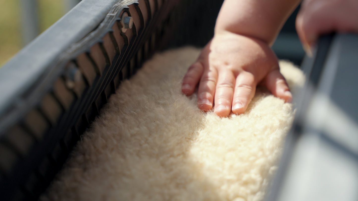 Mangaroa Farms Harvest Festival — Sat 21st March 2026 | 10AM - 3PM