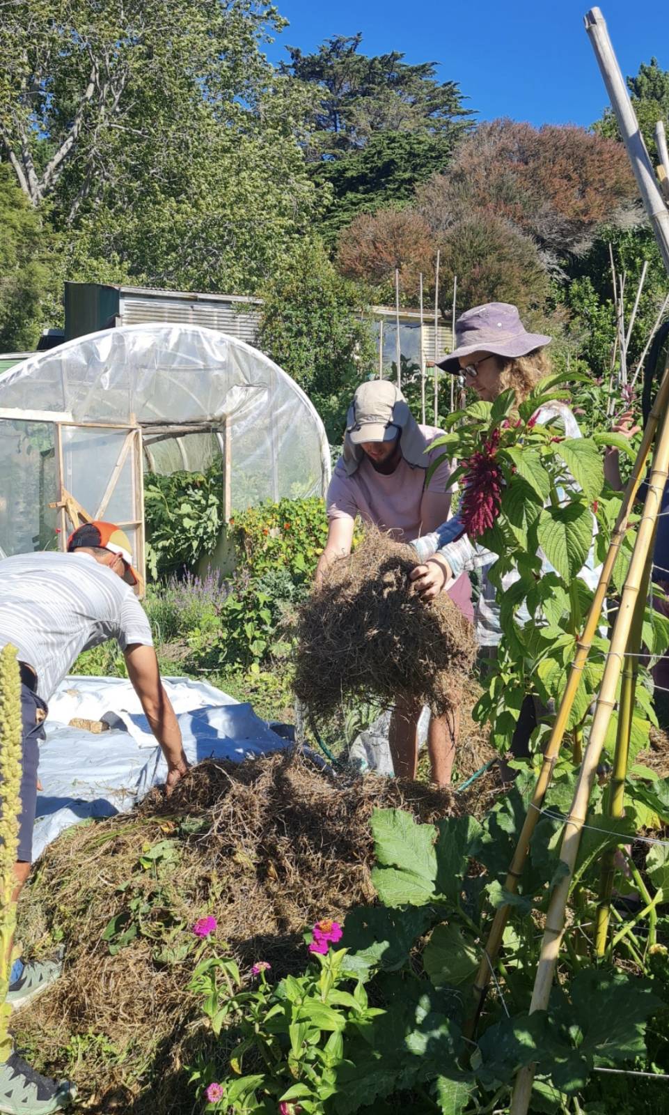Permaculture for People and Place - S.E.E.D (Soil. Environment. Elements. Discovery)