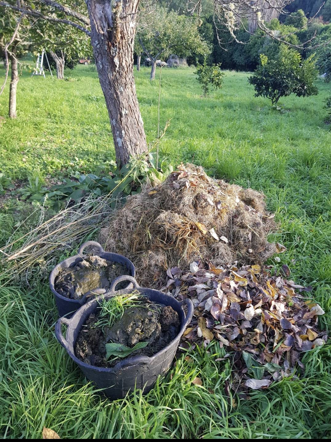 Permaculture for People and Place - S.E.E.D (Soil. Environment. Elements. Discovery)
