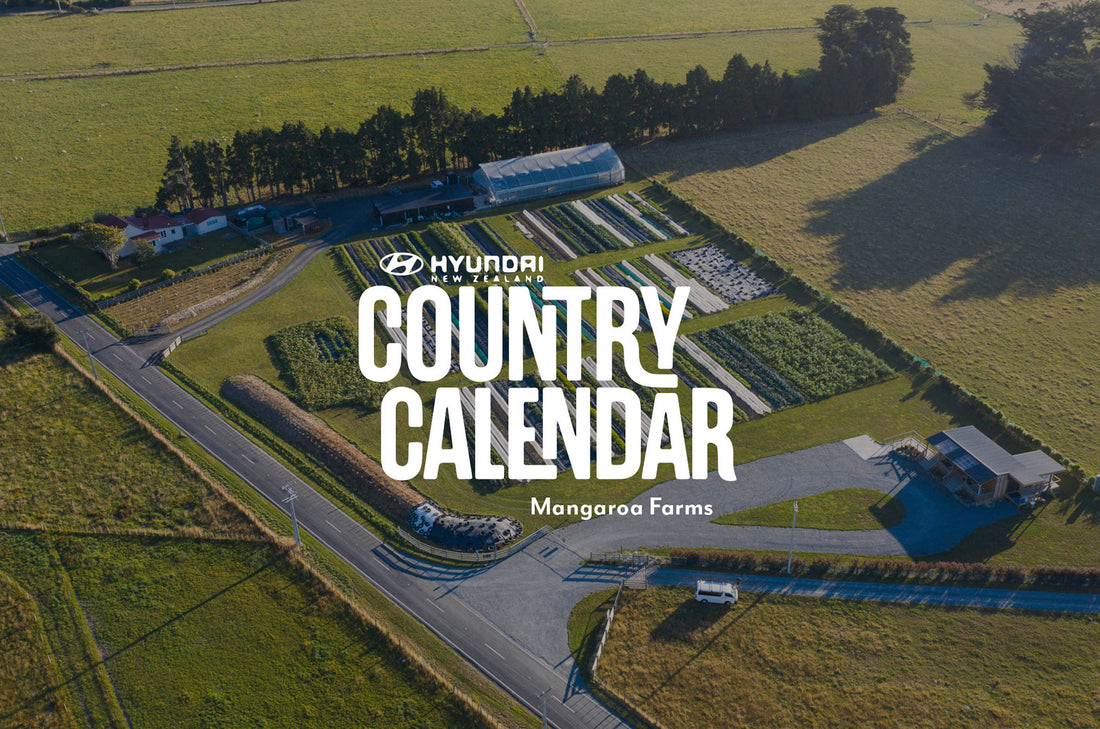 Mangaroa Farms on Country Calendar