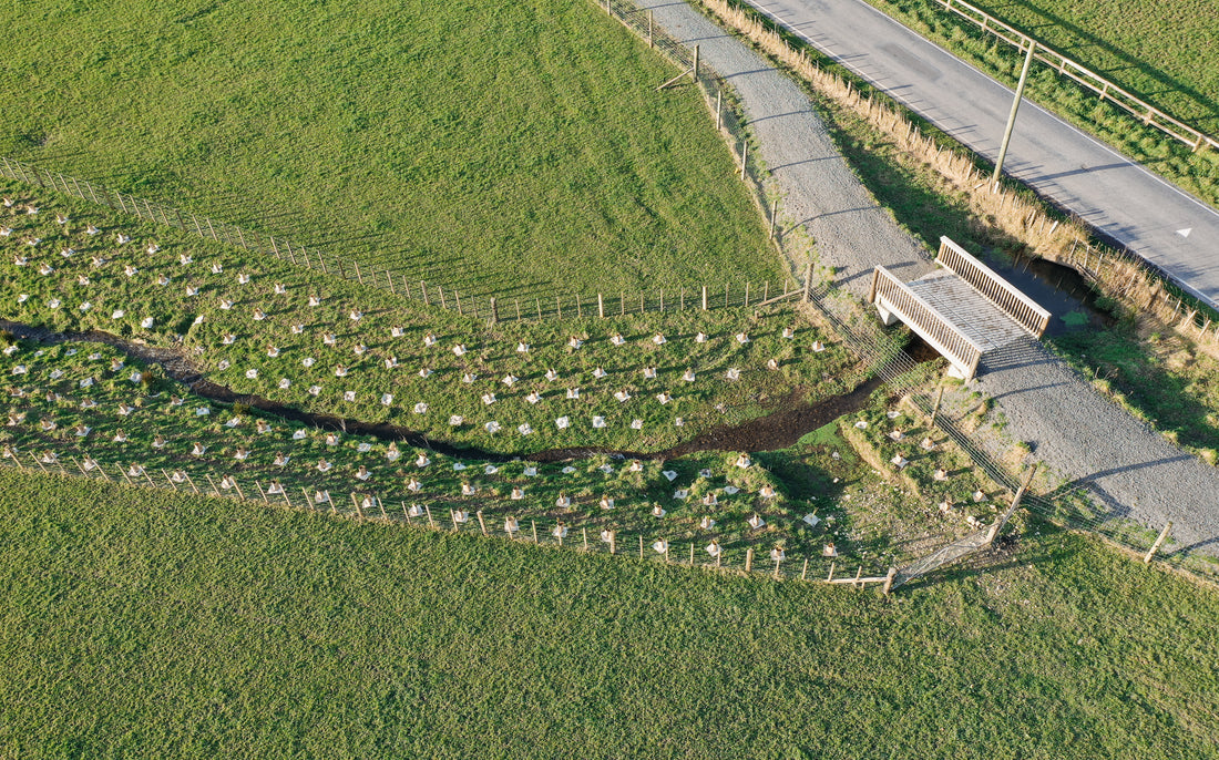 Winter Riparian Planting 2023