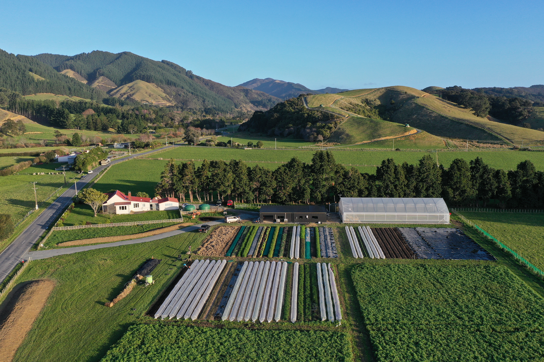 10 Months of Progress at Mangaroa Farms