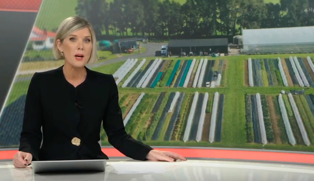 Mangaroa Farms Features on NewsHub