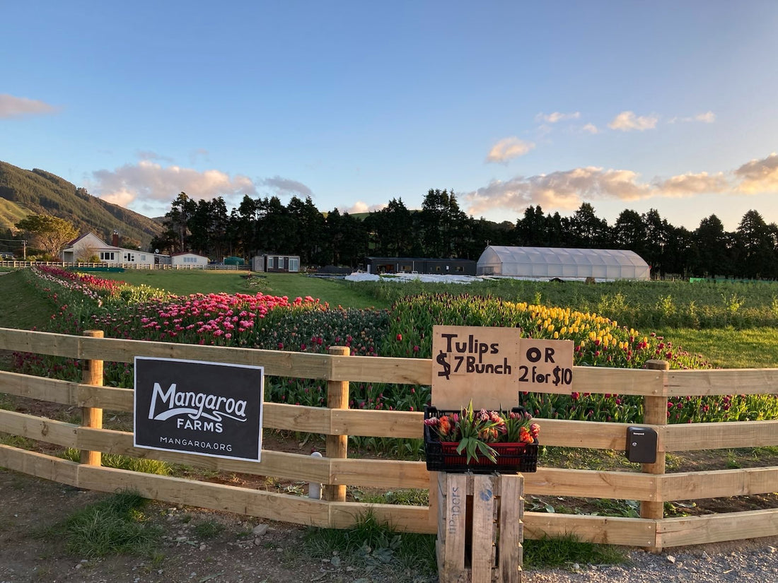 Mangaroa Farms Vege Honesty Box