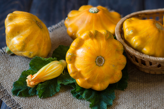 Sautéed Scallopini Squash with Parmesan