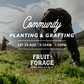 Tree Planting + Grafting Day for Fruit & Forage Loop — Sat 29th August | 9:30AM - 1:30PM