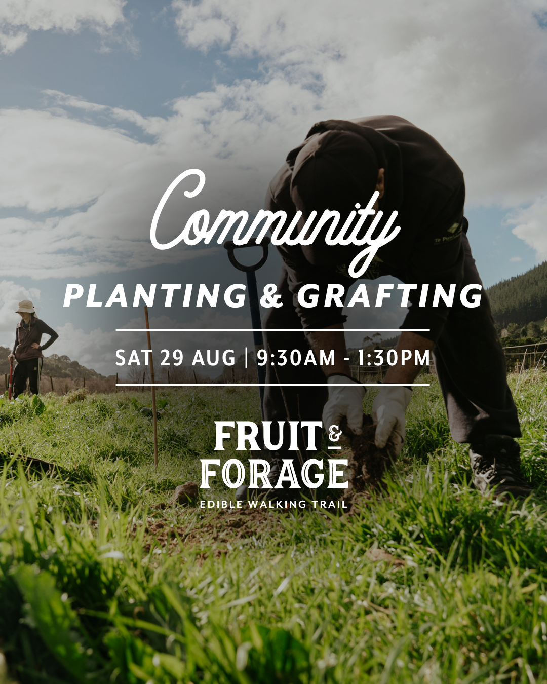 Tree Planting + Grafting Day for Fruit & Forage Loop — Sat 29th August | 9:30AM - 1:30PM