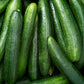 Mangaroa Farms Cucumbers