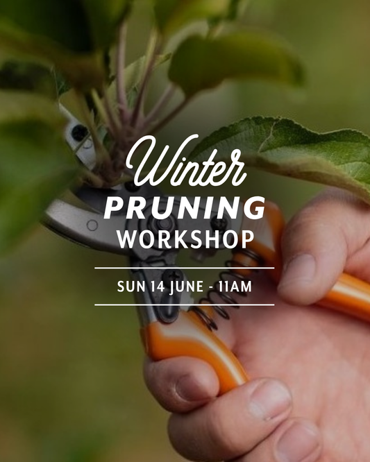 Winter Pruning Workshop — Sun 14th June | 11:00AM - 1:00PM