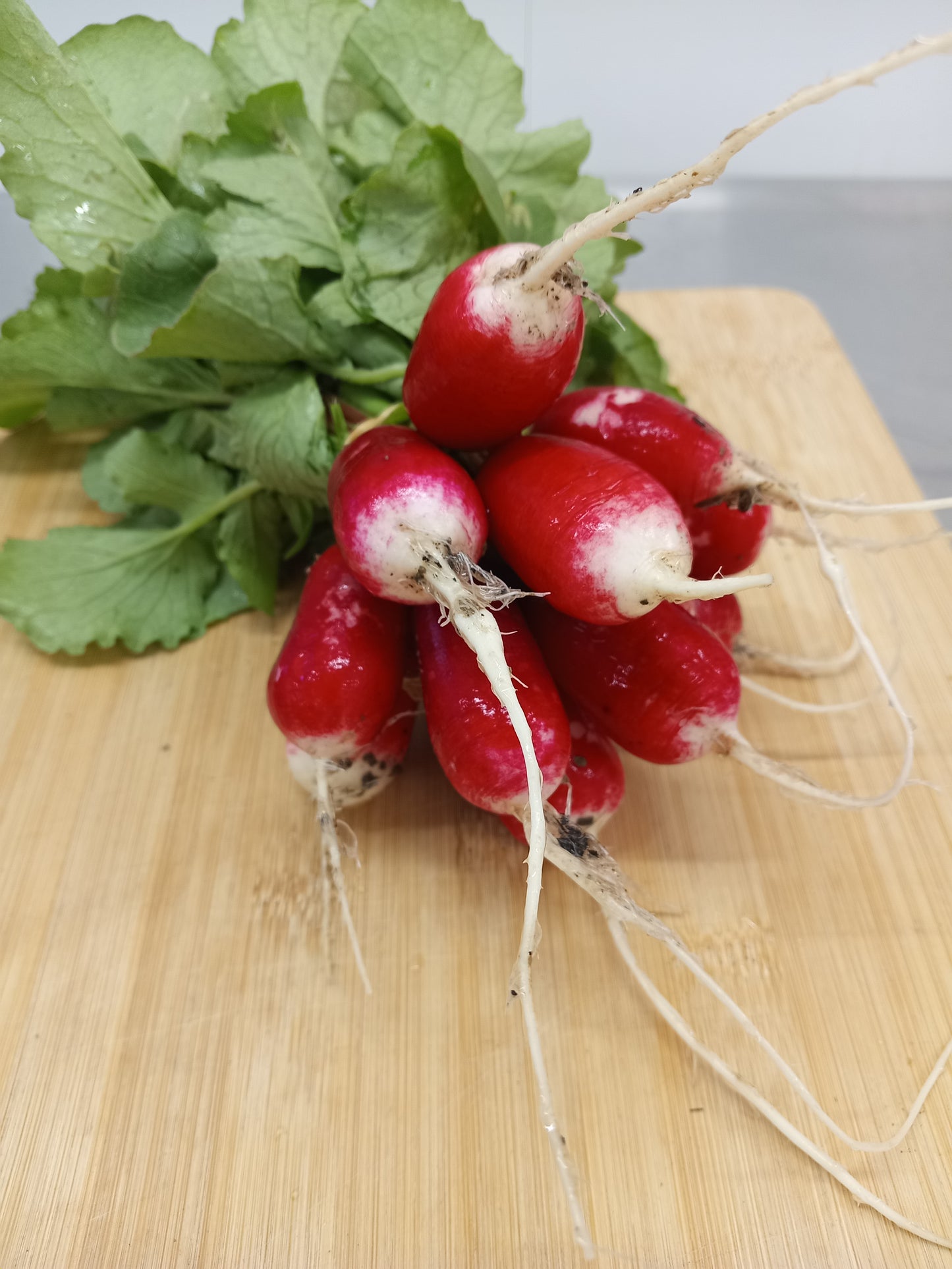 Radish bunch