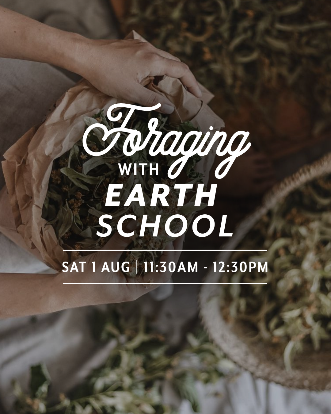Foraging with Earth School Aotearoa | Waking up from Winter — Sat 1st August | 11:30AM - 12:30PM