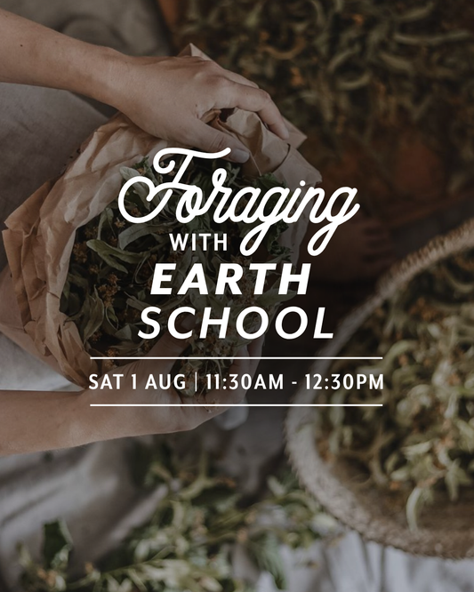 Foraging with Earth School Aotearoa | Waking up from Winter — Sat 1st August | 11:30AM - 12:30PM