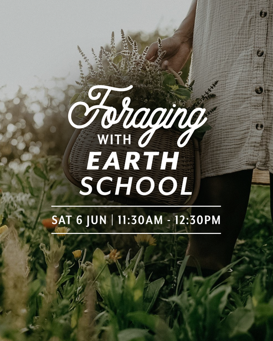 Foraging with Earth School Aotearoa | Pestos & Salads — Sat 6th June | 11:30AM - 12:30PM