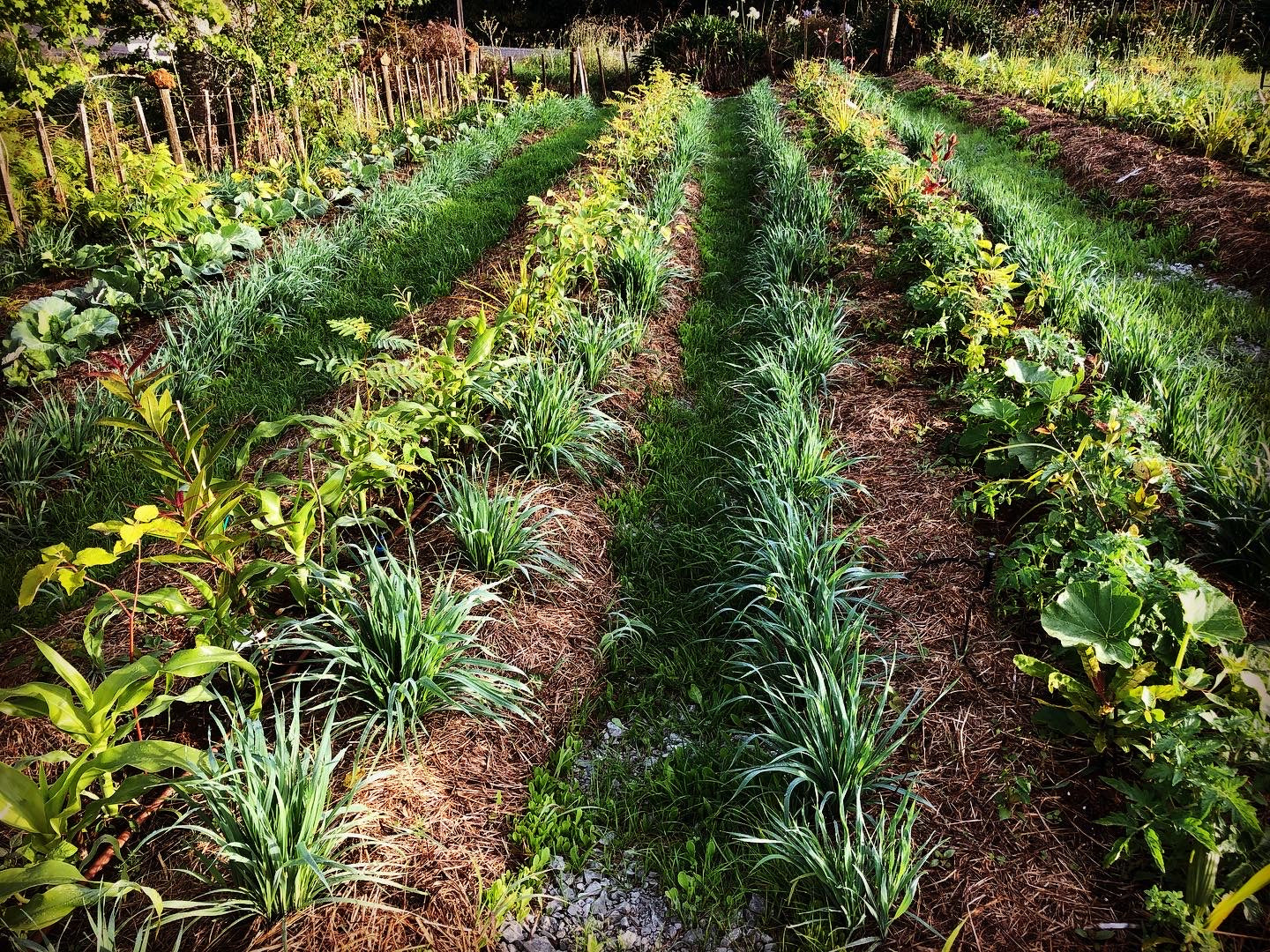 Food Foresting: Film Screening — Wed 10th December| 7:00PM - 9:00PM