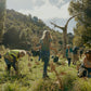 Tree Planting + Grafting Day for Fruit & Forage Loop — Sat 29th August | 9:30AM - 1:30PM