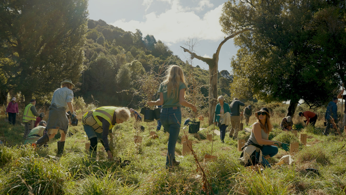 Tree Planting + Grafting Day for Fruit & Forage Loop — Sat 29th August | 9:30AM - 1:30PM