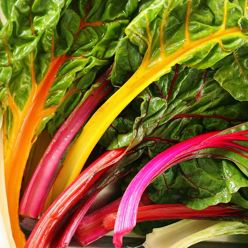 Rainbow Chard