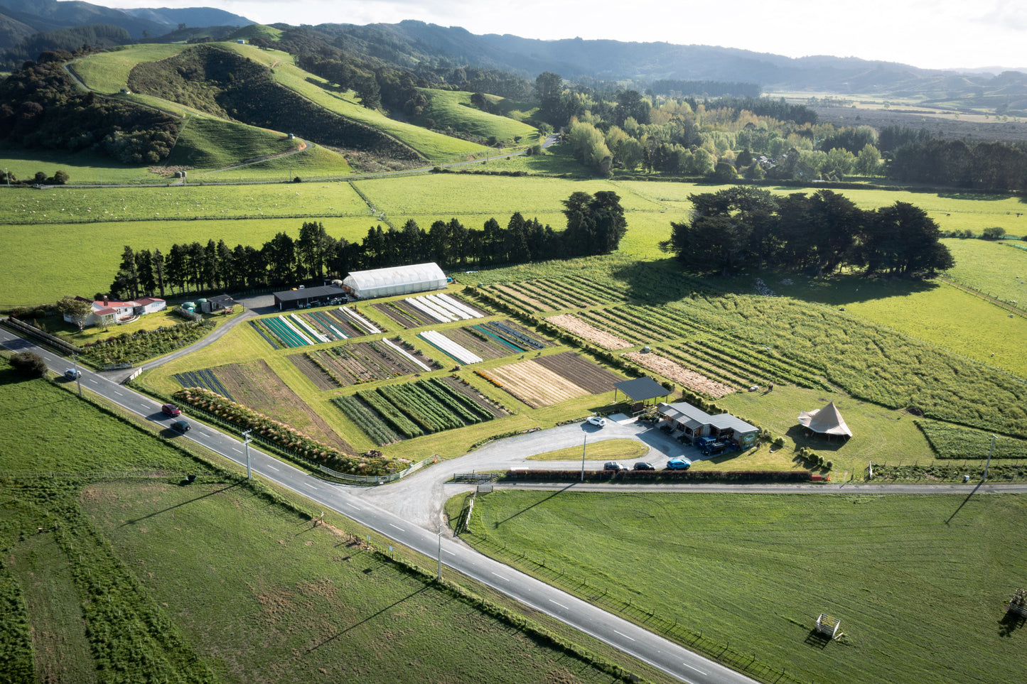 From Garden to Grill — Fri 12th December | 11:30AM - 2:00PM