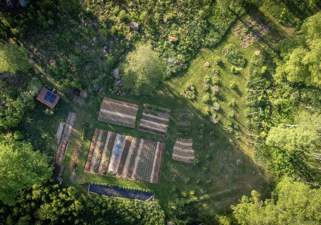 Designing Your Next Permaculture Project — Sat 7th November | 2:00PM - 5:00PM