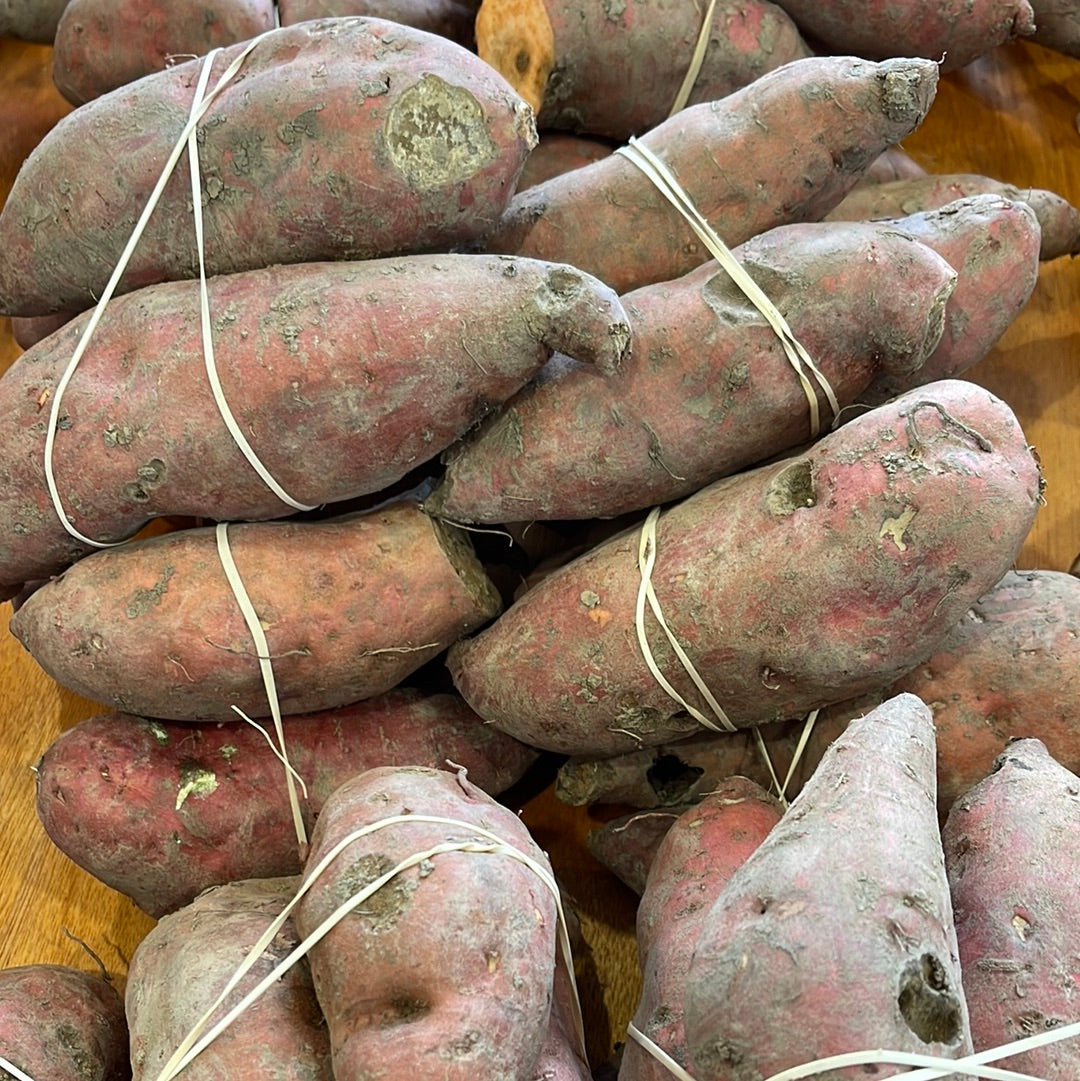 Kumara Purple Dawn Organic