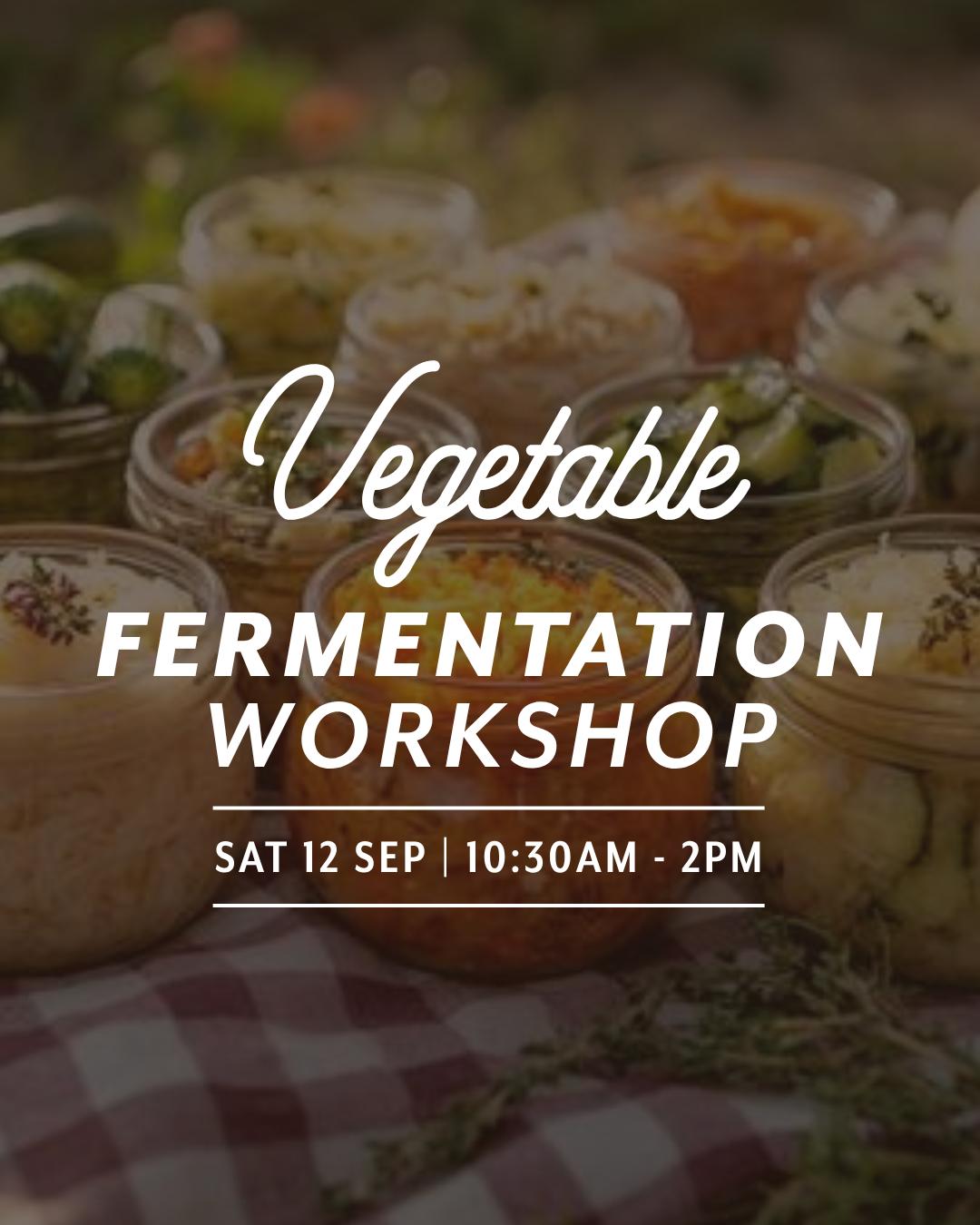 Vegetable Fermentation Workshop — Sat 12th September | 10:30AM - 2:00PM