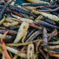 Field to Feast - Visa Wellington on a Plate — Thu 27th August | 6:00PM - 9:00PM