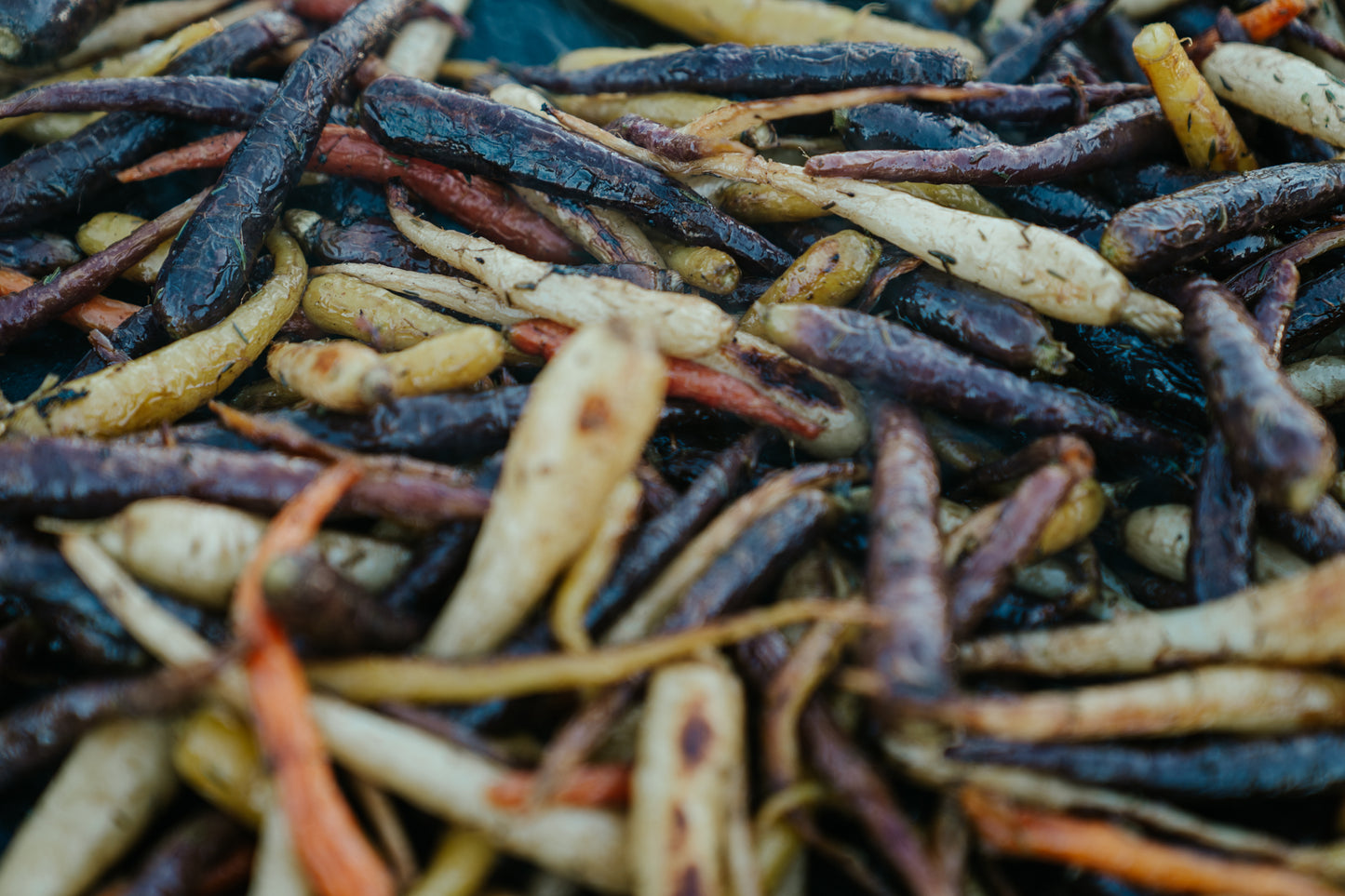 Field to Feast - Visa Wellington on a Plate — Thu 27th August | 6:00PM - 9:00PM