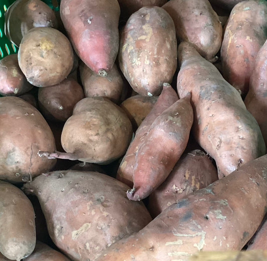 Kumara Beauregard - Organic Kg