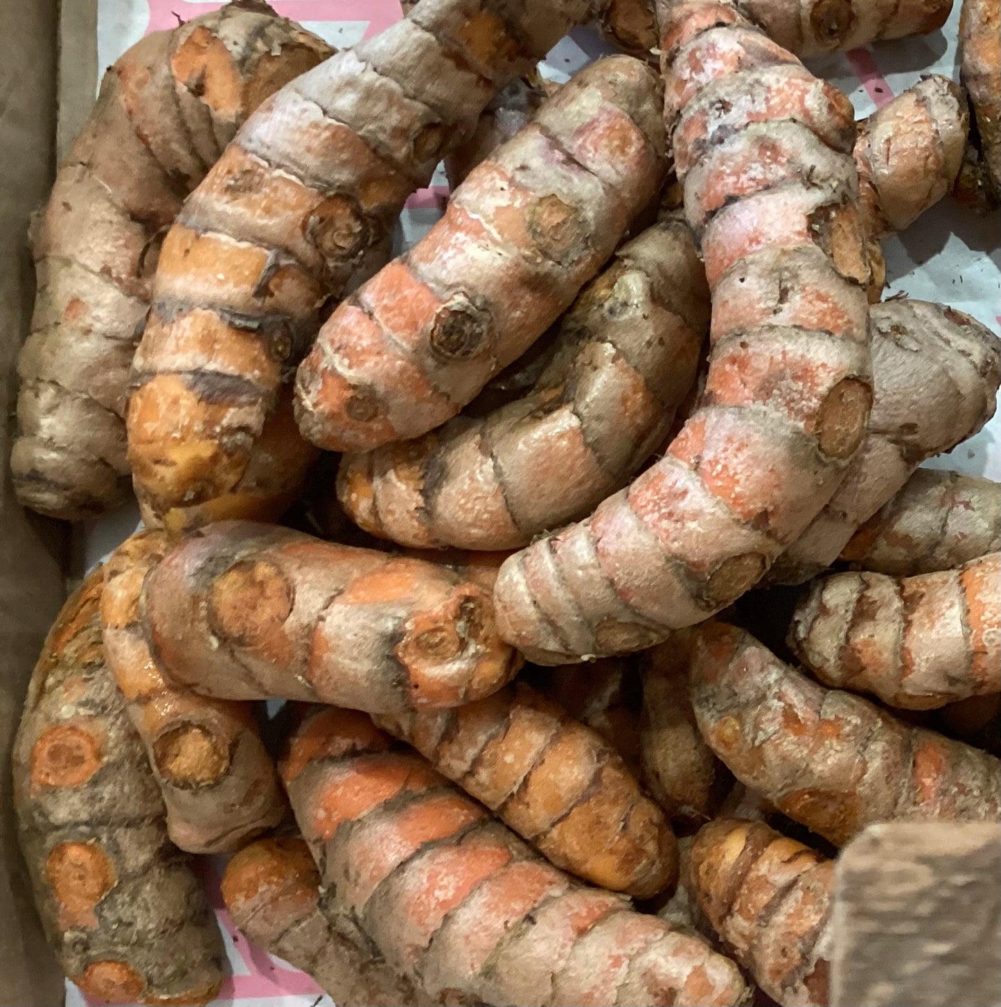 Turmeric Organic - fresh