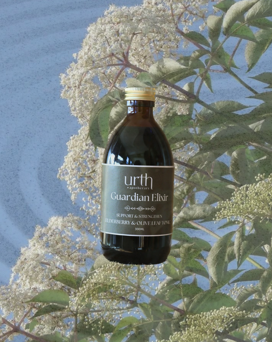 Urth Guardian Elixir - Elderberry & Olive leaf Immune tonic