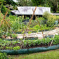 Permaculture for People and Place - S.E.E.D (Soil. Environment. Elements. Discovery)