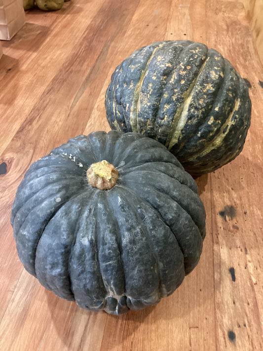 Buttercup Squash