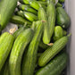 Mangaroa Farms Cucumbers