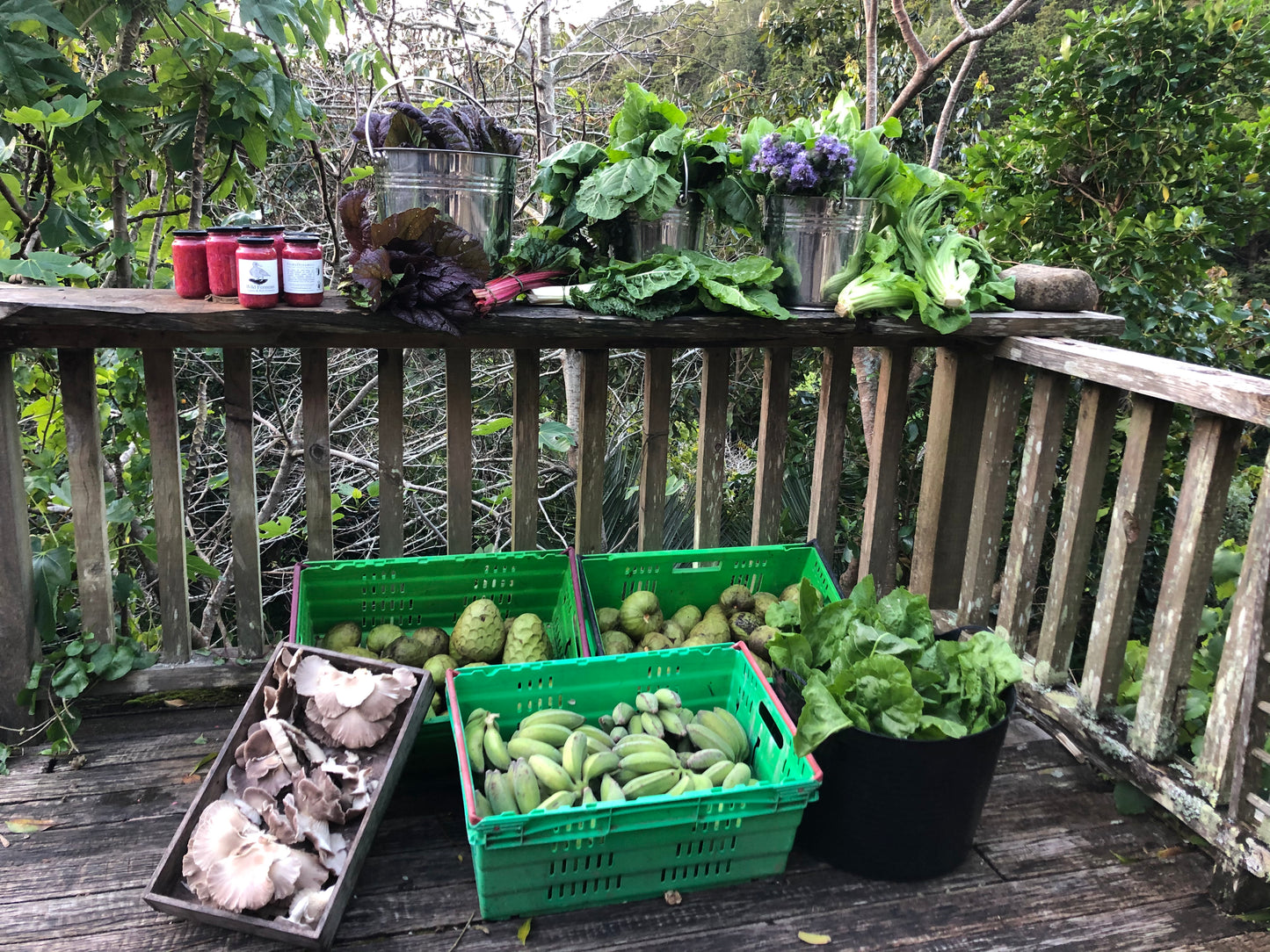 Food Foresting: Film Screening — Wed 10th December| 7:00PM - 9:00PM