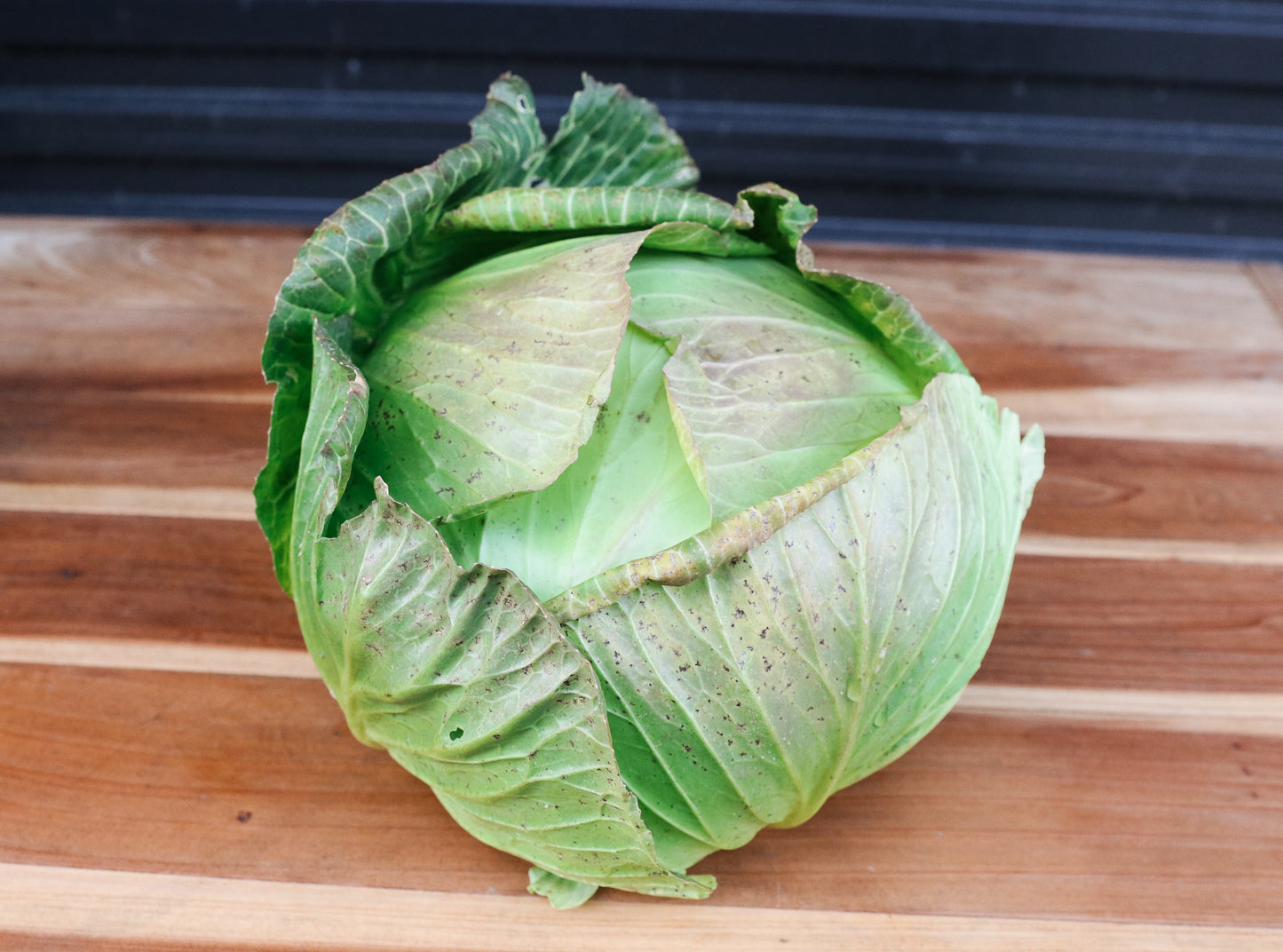 Mangaroa Farms Cabbage green