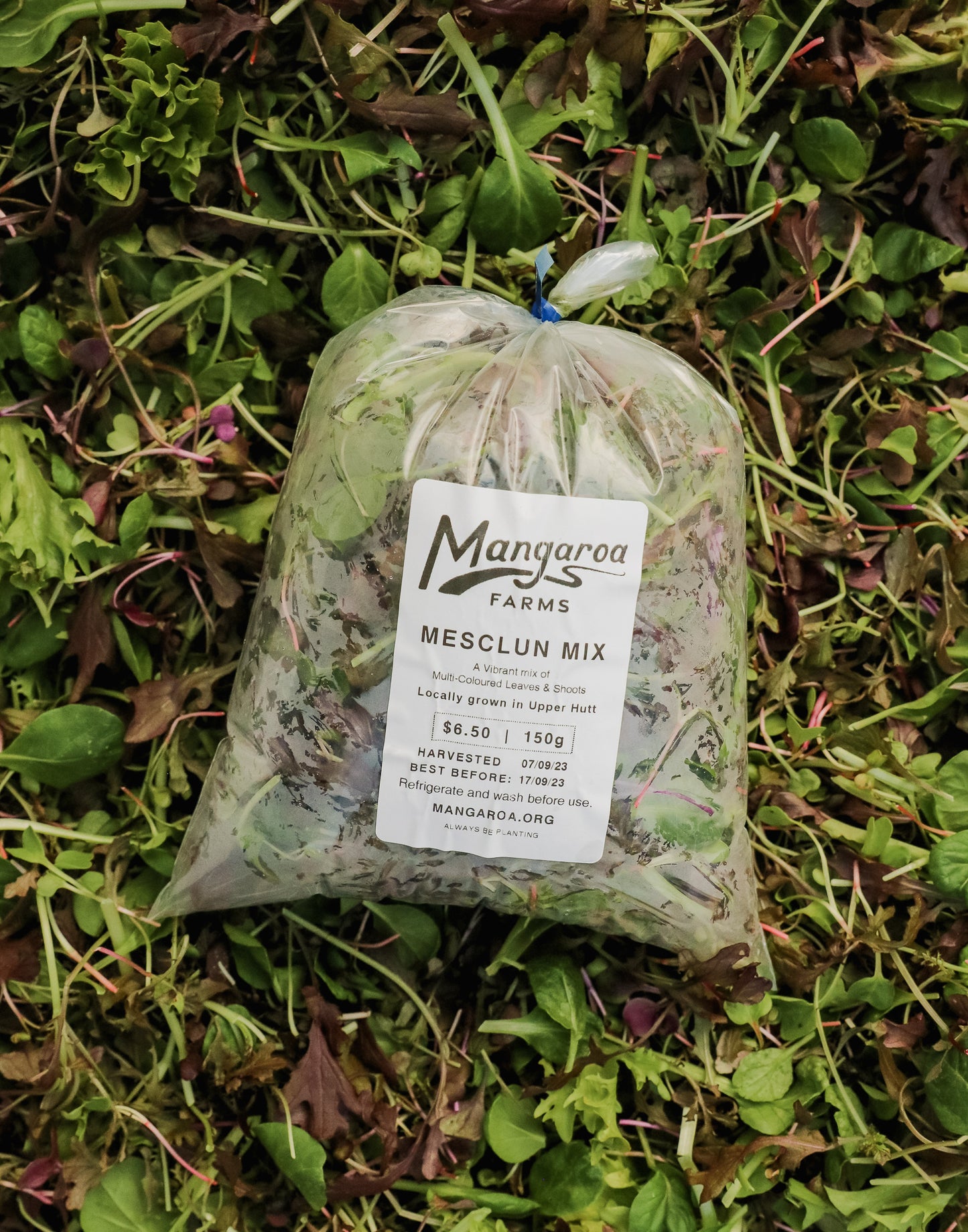 Mangaroa Mesclun Mix