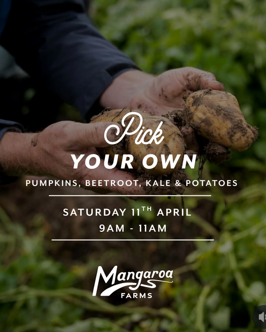 Pick Your Own Veges at Mangaroa Farms — Sat 11th April | 9:00AM - 11:00AM