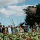 Mangaroa Farms Spring Festival — Sat 31st October | 10:00AM - 3:00PM
