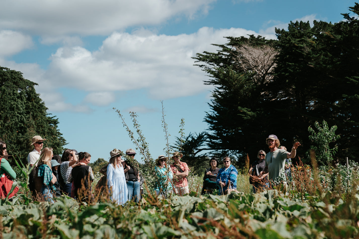 Mangaroa Farms Spring Festival — Sat 31st October | 10:00AM - 3:00PM